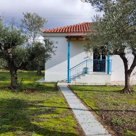 Coral Villas Kompoi Bagian luar foto